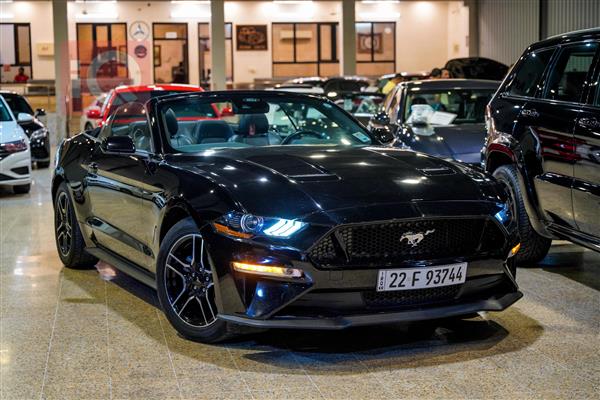 Ford for sale in Iraq